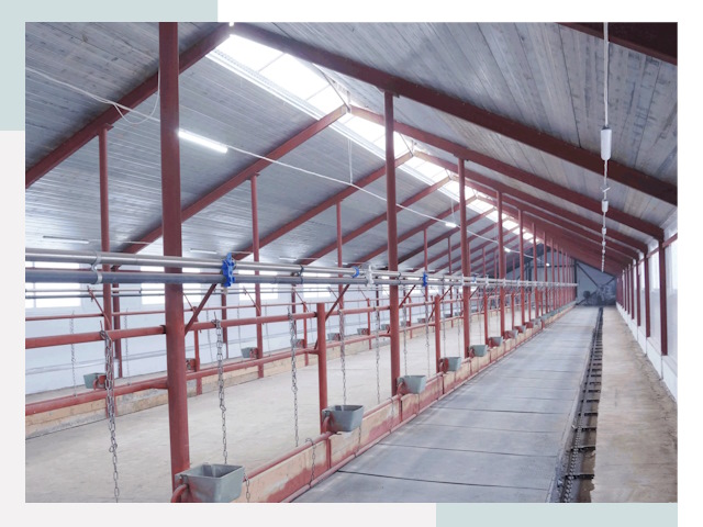 Строительство коровников в Кольчугино от 610 руб.