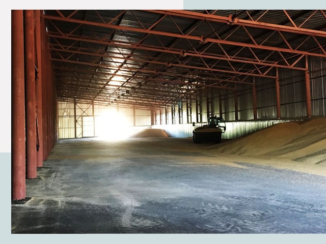 Строительство зернохранилищ в Кольчугино