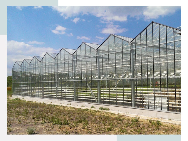 Строительство теплиц в Кольчугино от 610 руб. за м²