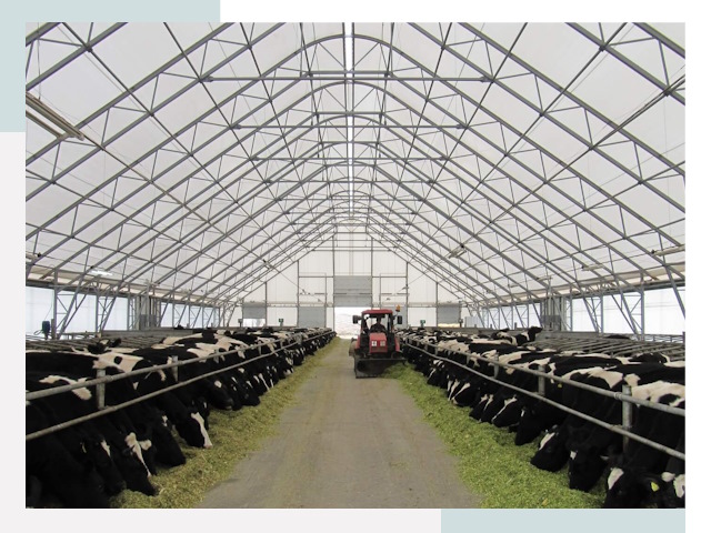 Тентовые коровники в Кольчугино от 610 руб. - Надежно и доступно